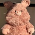thumbnail image 2 of Cute Baby Pink Pig Plush Toy Doll, 2 of 4