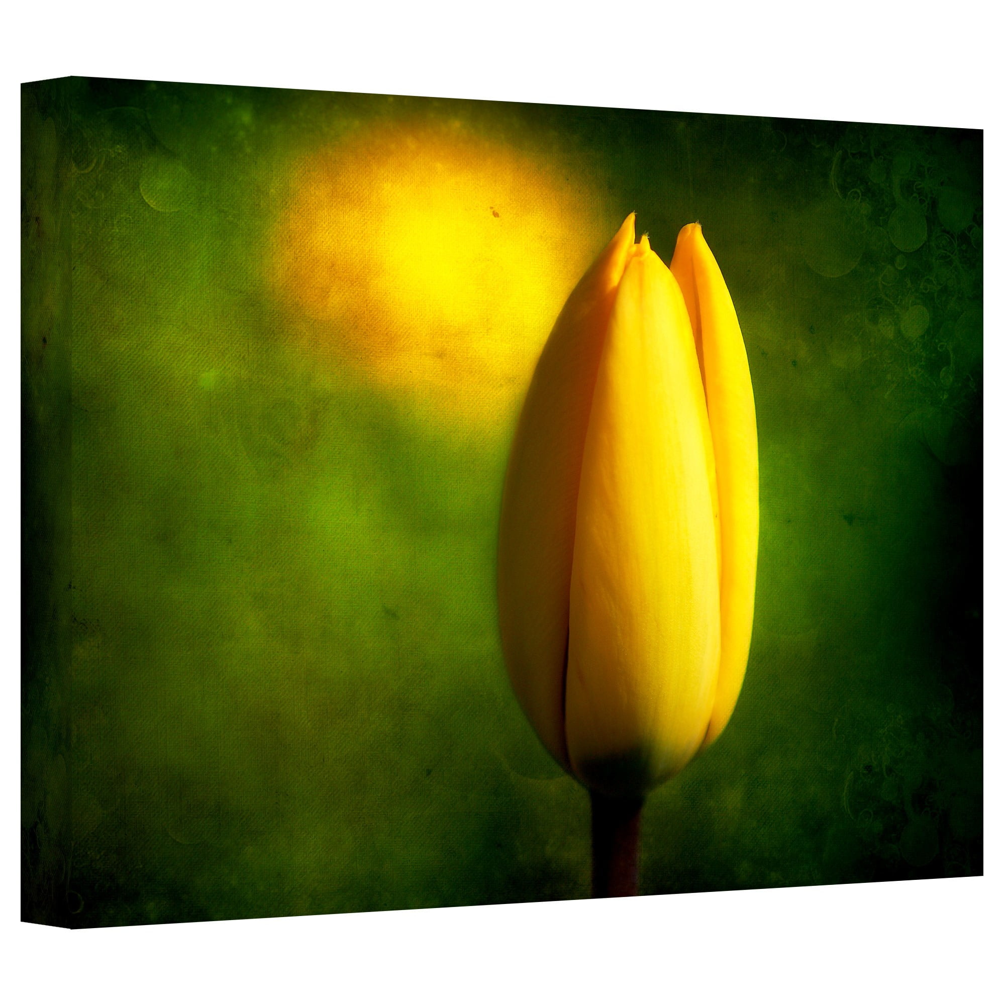 ArtWall Dragos Dumitrascu "The Tulip Hallucinations" Gallery-wrapped Canvas Art