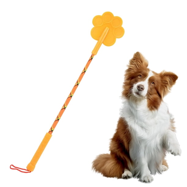 Palo de adiestramiento profesional para perros, látigo de agitación para adiestramiento de mascotas, juguetes interactivos para perros Naranja