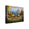 thumbnail image 2 of Trademark Fine Art 'The Wild Frontier' Canvas Art by Chuck Black, 2 of 3