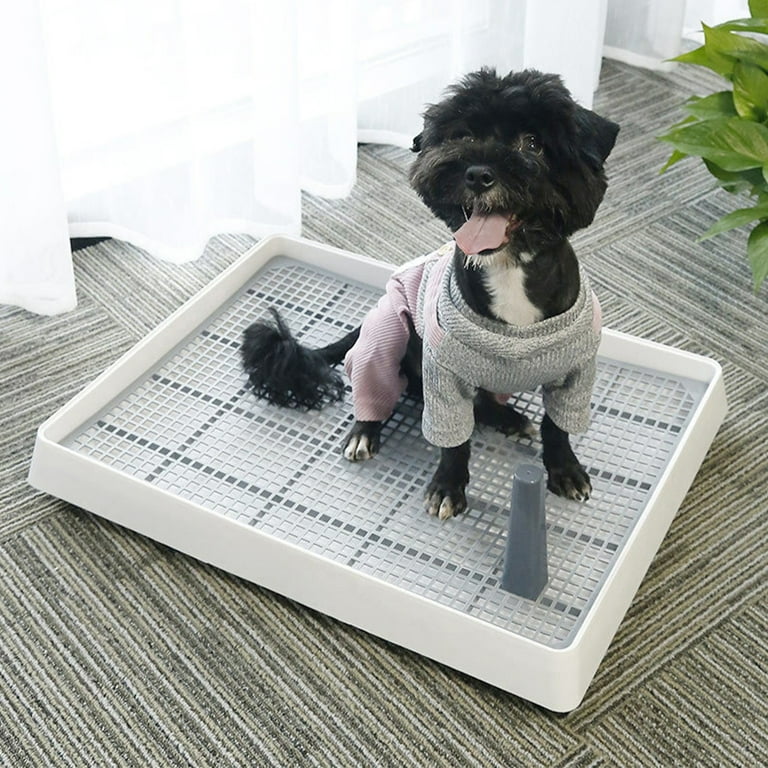 Walmart pet supplies canada cheap