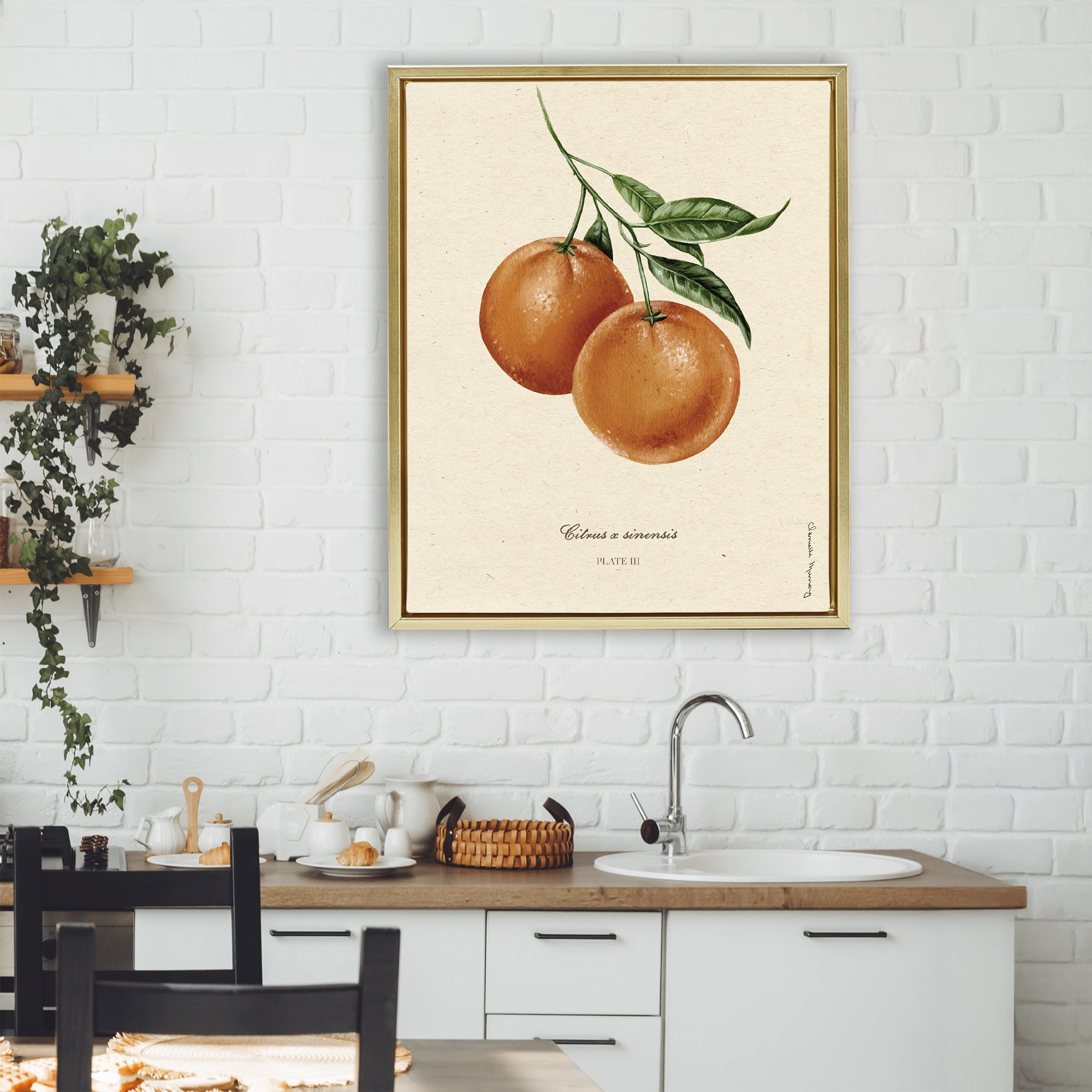 Stupell Industries Orange Fruit Portrait Gold Framed Floater Canvas Wall Art, design by Danielle Murray