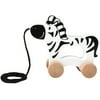 Spark. Create. Imagine. Walk Along Zebra