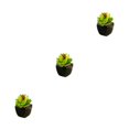 thumbnail image 1 of Toystoory Bonsái en maceta de cerámica negra suculenta verde Artificial, decoración de , planta de imitación para jardín, decoración Type1 NO1, 1 of 6