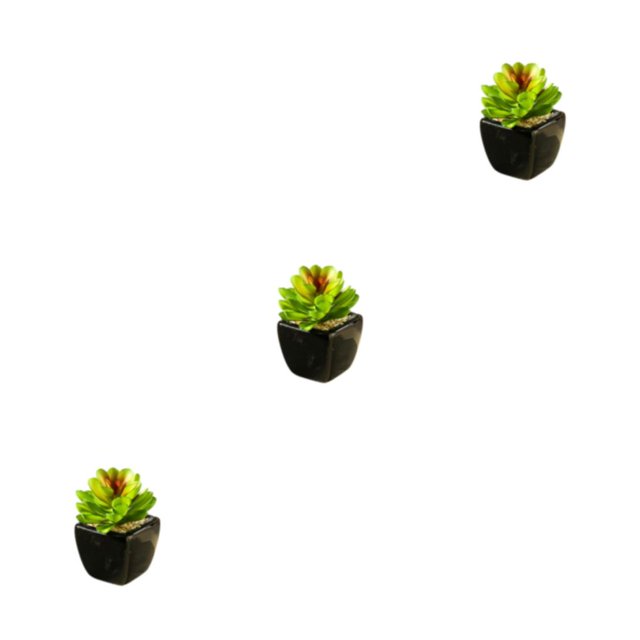 Toystoory Bonsái en maceta de cerámica negra suculenta verde Artificial, decoración de , planta de imitación para jardín, decoración Type1 NO1
