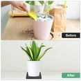 thumbnail image 6 of Uxcell Ceramic Plant Saucer, 4.9 Inch Plant Water Catcher Tray, Plant Pot Saucers for Indoor Plants [Square Black], 6 of 7