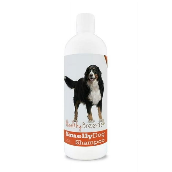 Healthy Breeds  Bernese Mountain Dog Smelly Dog Baking Soda Shampoo