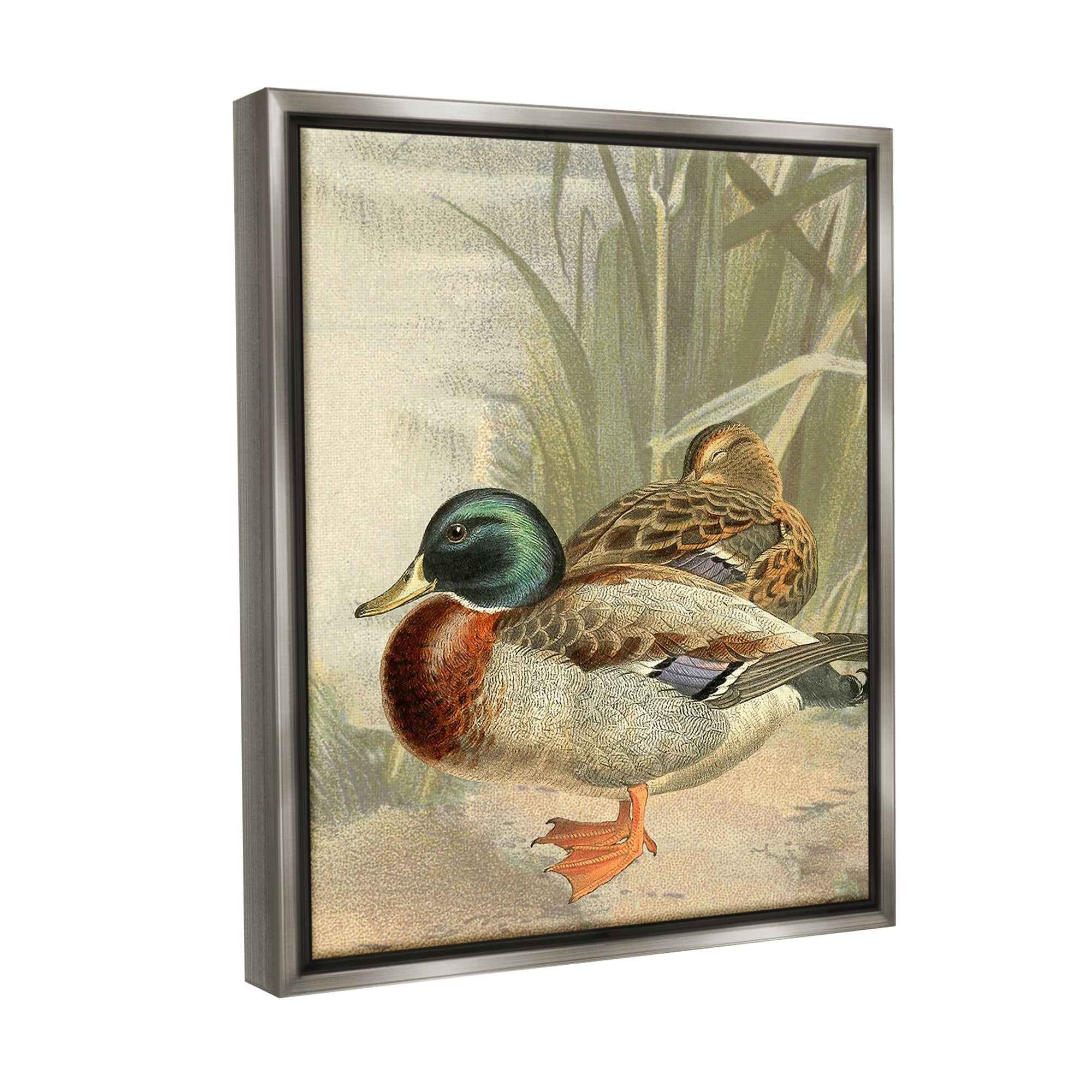 Stupell Industries Pond Ducks Relaxing Animals & Insects Painting Gray Floater Framed Canvas Art Print Wall Art, 17 x 21