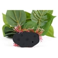 thumbnail image 4 of Adorno de planta de acuario artificial de aspecto realista para acuario Green Deco, 4 of 5