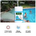 thumbnail image 1 of Chemical Test Strips For Ground Pools, Above Ground Pools, And Hot Tubs, High Precision Results In Seconds, Multi-Purpose Water Quality Monitoring, 1 of 5