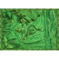 thumbnail image 1 of Ahgly Company Machine Washable Indoor Rectangle Transitional Deep Emerald Green Area Rugs, 5' x 8', 1 of 7
