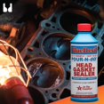 BlueDevil Products 00209 PourNGo Head Gasket Sealer 16 Ounce