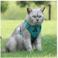 thumbnail image 3 of Yidarton New Pet Leash Reflective Breathable Dog Chest Strap Vest Pet Chest Strap, 3 of 10