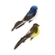 thumbnail image 1 of Conjunto de 2 Figuras de pájaros shamjiam de espuma artificial con clip, 1 of 8