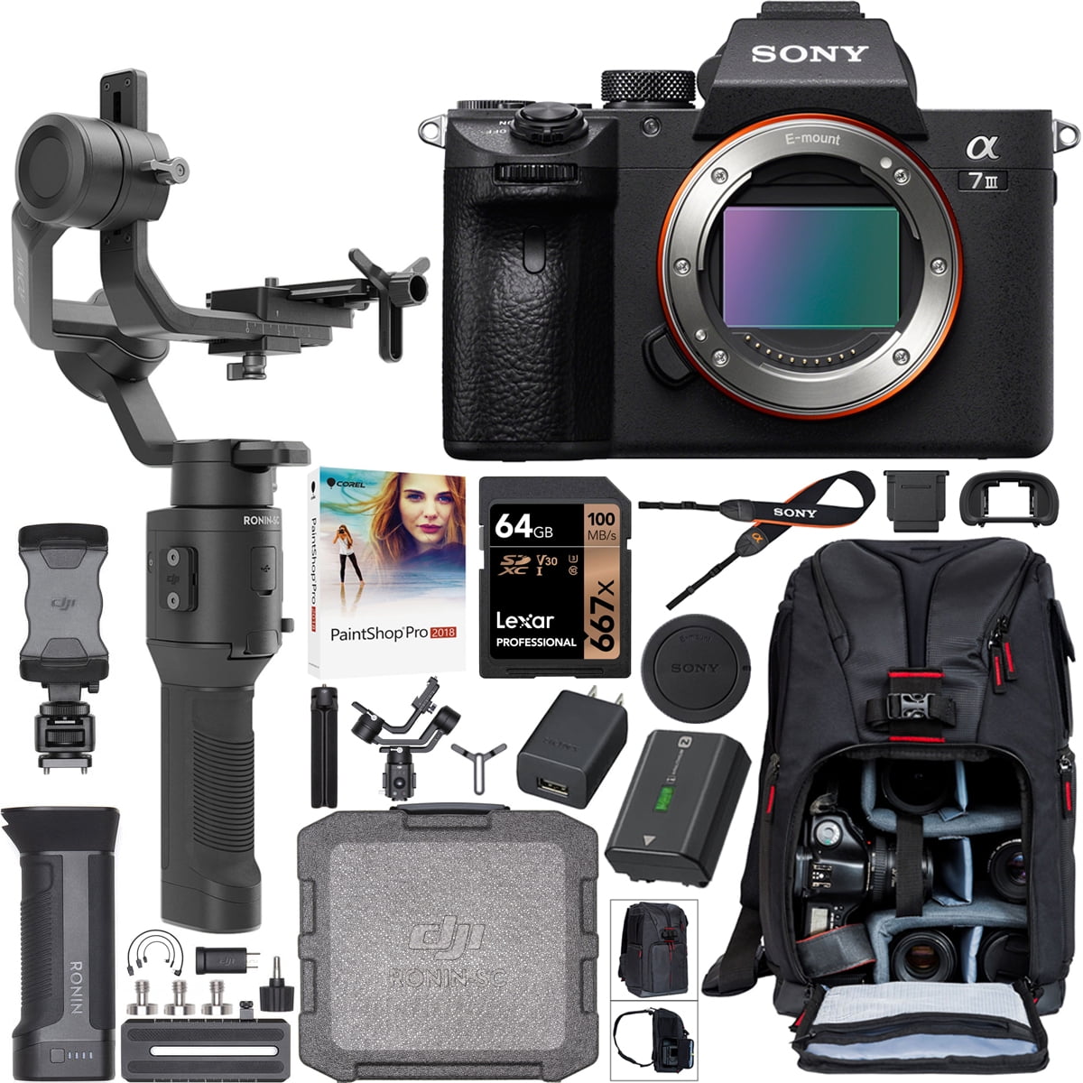 a7 III, a7RIII, a7R IV, a6600 Dual Charger 64GB SD Card 2 Green Extreme NP-FZ100 Battery DJI Ronin-SC Handheld 3-Axis Gimbal Stabilizer for Sony Mirrorless Camera, Pro Video Bundle with Bag 