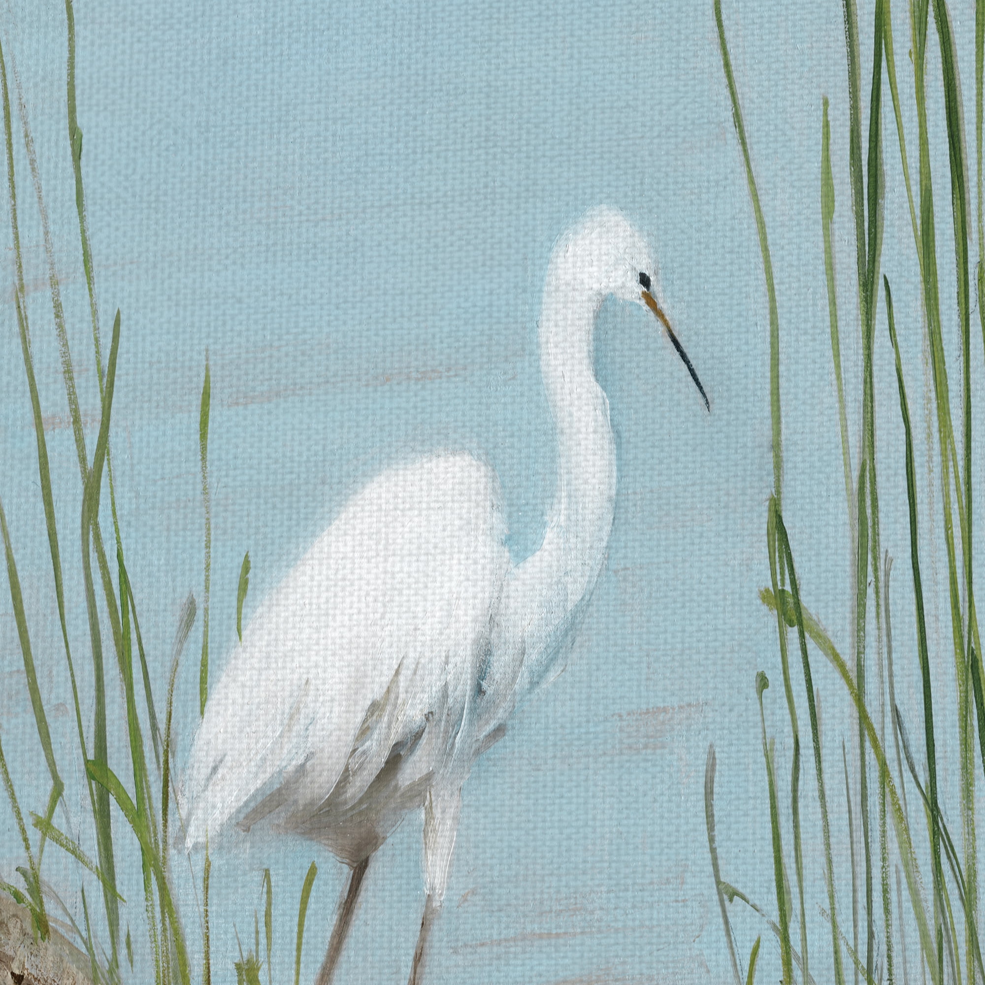 Masterpiece Art Gallery White Shorebird I & II by Sally Swatland Canvas Art Set of 2 (12" x 36")