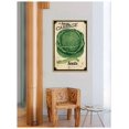 thumbnail image 7 of Marmont Hill "Seed Packet Cabbage" Painting Print on Canvas, 7 of 7