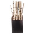 thumbnail image 1 of Ramas de abedul Second Nature Natural para Navidad para interiores, 32 cm, 1 of 1