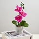 thumbnail image 2 of Wosthever Flores artificiales de orquídeas, macetas artificiales de Phalaenopsis, flores artificiales en maceta Decoración Morado oscuro, 2 of 6