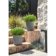 thumbnail image 5 of Veradek Demi Series  12" Plastic-Stone Planter - 2-Pack Gray, 5 of 10