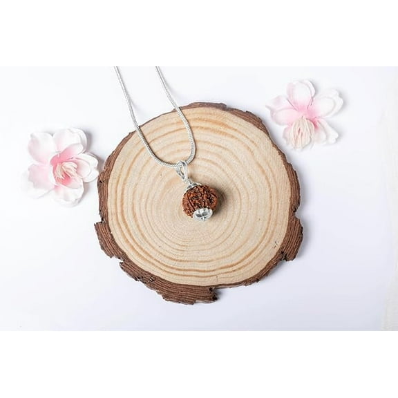 6 Mukhi Nepali Rudrkasha 925 Silver Pendant Certified