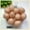 20pcs, variant on 20 Pcs Nesting Eggs Brown Fake Training Eggs Model Laying Chickens Hens Hatching