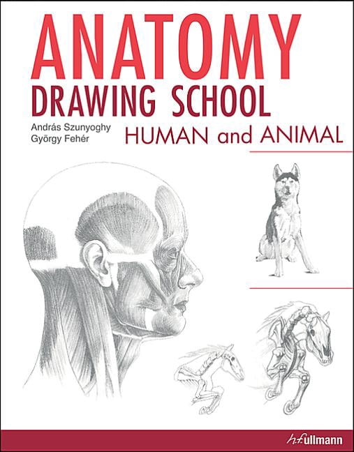 Anatomy Drawing School Human and Animal (Paperback)