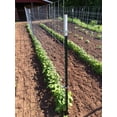 thumbnail image 4 of One Man Fencing Livestock Panel T-Post Connector Zinc-Plated Steel 100 Pack, 4 of 8