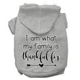thumbnail image 6 of Thanksgiving Pet, Dog and Cat Hoodie Screen Printed, "I Am What My Family Is Thankful For", 6 of 10