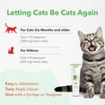 thumbnail image 5 of Vetoquinol Viralys Gel L-Lysine Supplement for Cats, 5oz - Cats & Kittens of All Ages - Immune Health - Sneezing, Runny Nose, Squinting, Watery Eyes - Palatable Maple Flavor Lysine Gel, 5 of 8