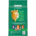 (4 pack) Iams Proactive Health Chicken Dry Cat Food For Senior Cats, 7