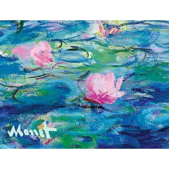 Monet Waterlilies Portfolio Notes