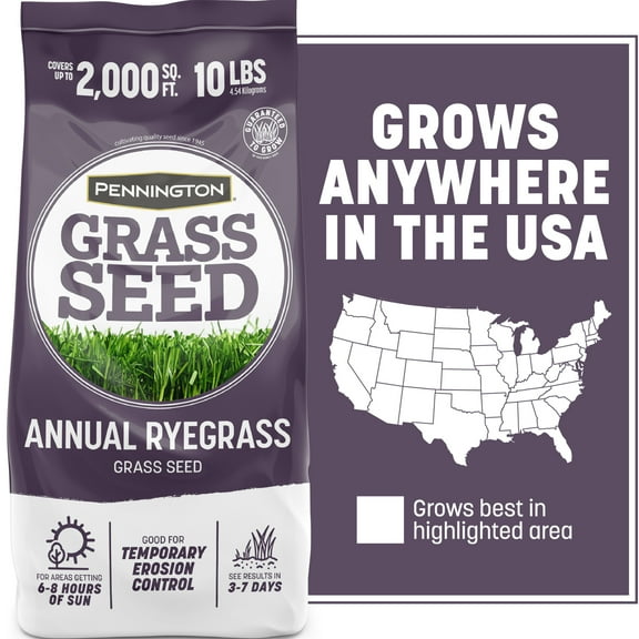 Pennington Annual Ryegrass Grass Seed, 10lb, Full Sun to Partial Shade, Rye Grass Seeds for Lawn, 1 Bag