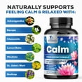 thumbnail image 3 of Natural Calm, Unwind & Relax Support - Ashwagandha, GABA, Magnesium, L-Theanine & More - Natural Focus, Energy & Immune Support - Nature's Non-GMO, Vegan, Gluten Free, Bottled in USA - 120 Capsules, 3 of 10