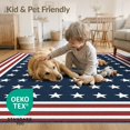 thumbnail image 4 of ODIKA 2'x3' Washable Throw Rug Independence Door Patriotic Stripe Border Welcome Striped July Flowing Dynamic for Hallway, Study Room, Non-Slip Low Profile, Flatwoven, 4 of 7