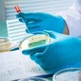 thumbnail image 2 of 30Pcs Plant Cell Tissue Petri Dish with Lid Laboratory Equipment Accessories, 2 of 8
