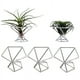 thumbnail image 1 of Paquete 5 Titular de la Planta de Aire Titulares de Plantas de Aire ExhibicióN de Tillandsias Contenedor de Planta Purificadora de Aire Soporte de Helecho de Aire, Plateado, 1 of 5