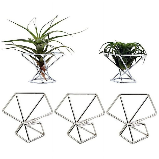 Paquete 5 Titular de la Planta de Aire Titulares de Plantas de Aire ExhibicióN de Tillandsias Contenedor de Planta Purificadora de Aire Soporte de Helecho de Aire, Plateado