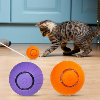 Kripyery Cat Toy Long Pole Beautiful Color Telescopic Wire Comfortable to  Grip Multipurpose Interactive Play Relief Pressure Kitten Teaser  Interactive Bell Feather Rod for Puppy 