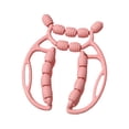 thumbnail image 4 of Lipstore Muscle Roller Massagers 23 Wheels Handheld Massage Stick for Calf Legs Elbow Pink, 4 of 8