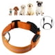 thumbnail image 2 of Collar de perro LED, collar de perro luminoso, recargable y ajustable en longitud, collar de seguridad impermeable para perros y gatos Adepaton 2034484-7, 2 of 9