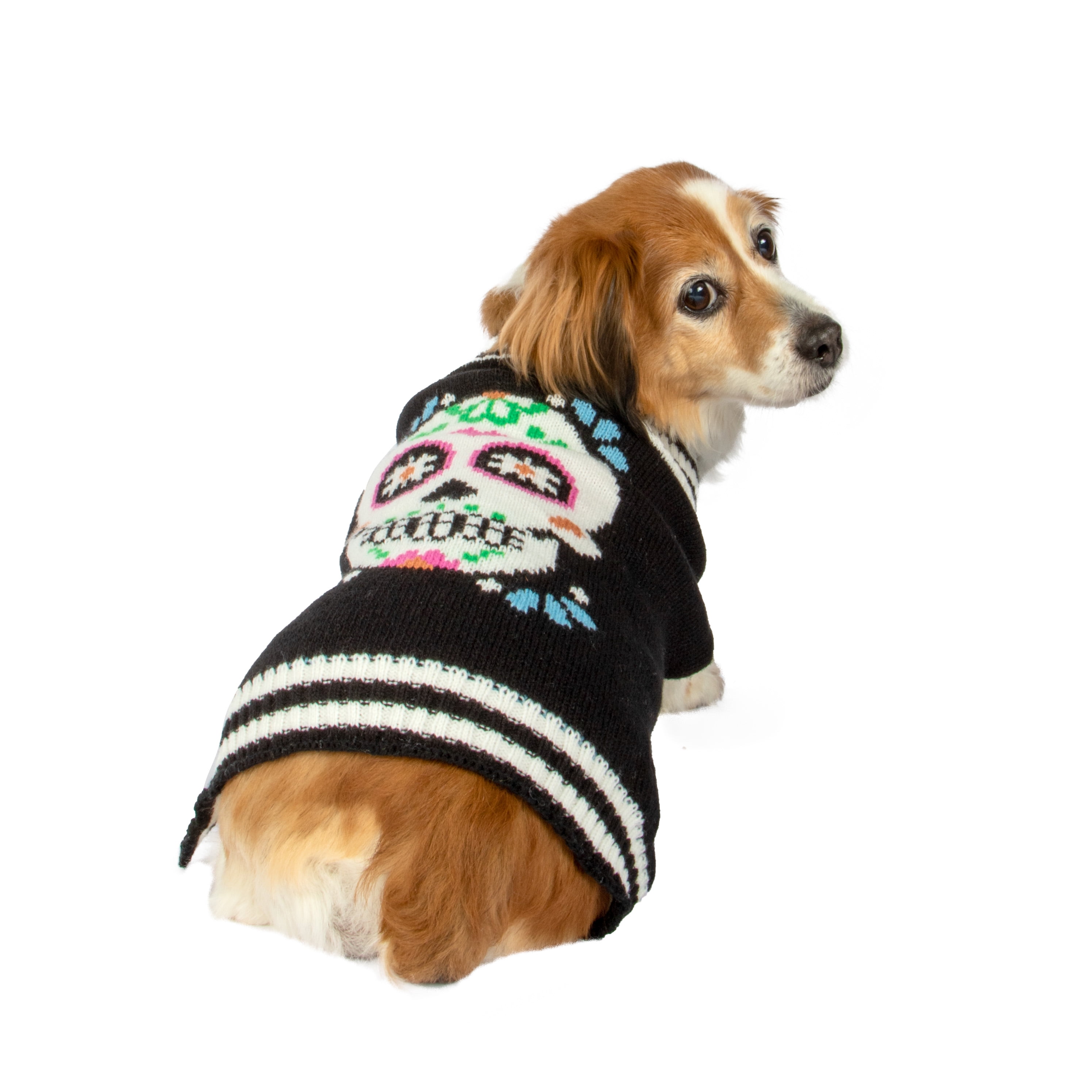Skull cashmere dog best sale sweater