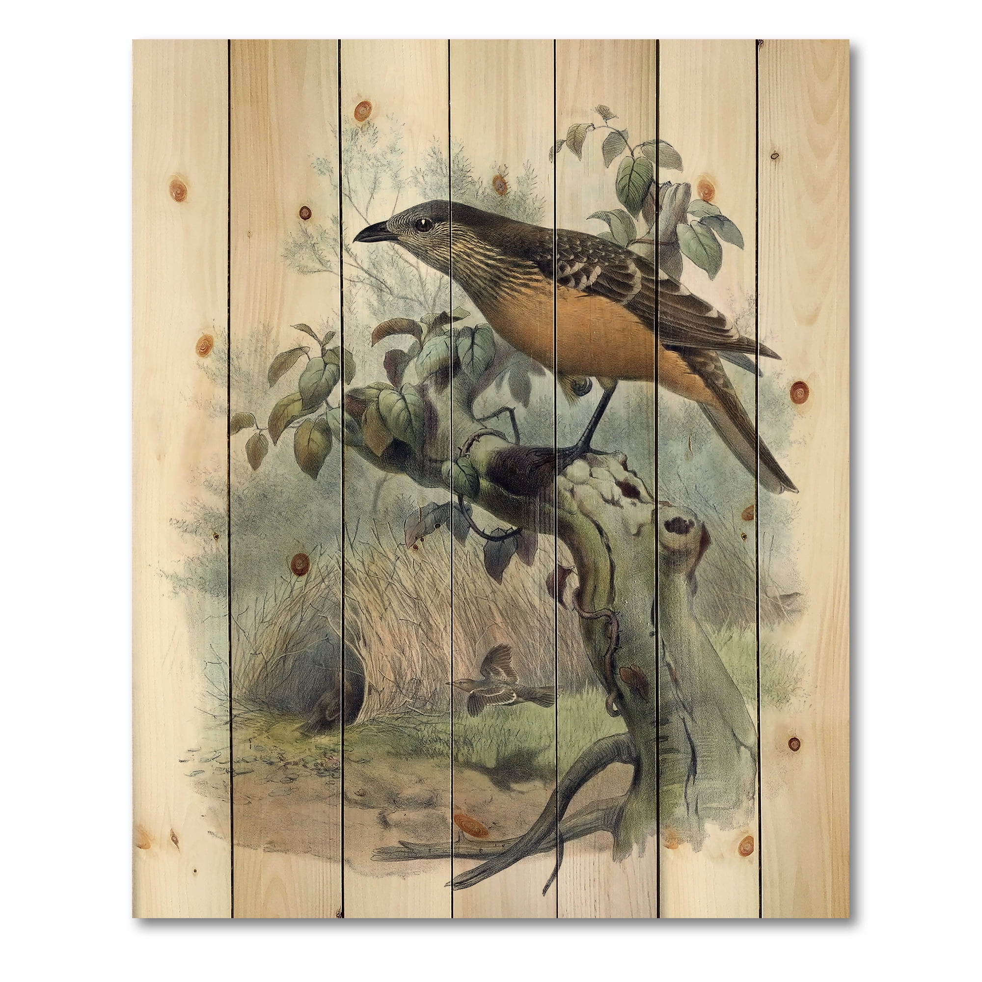 Designart 'The Paradise Birds on a Tree Branch' Traditional Print on Natural Pine Wood
