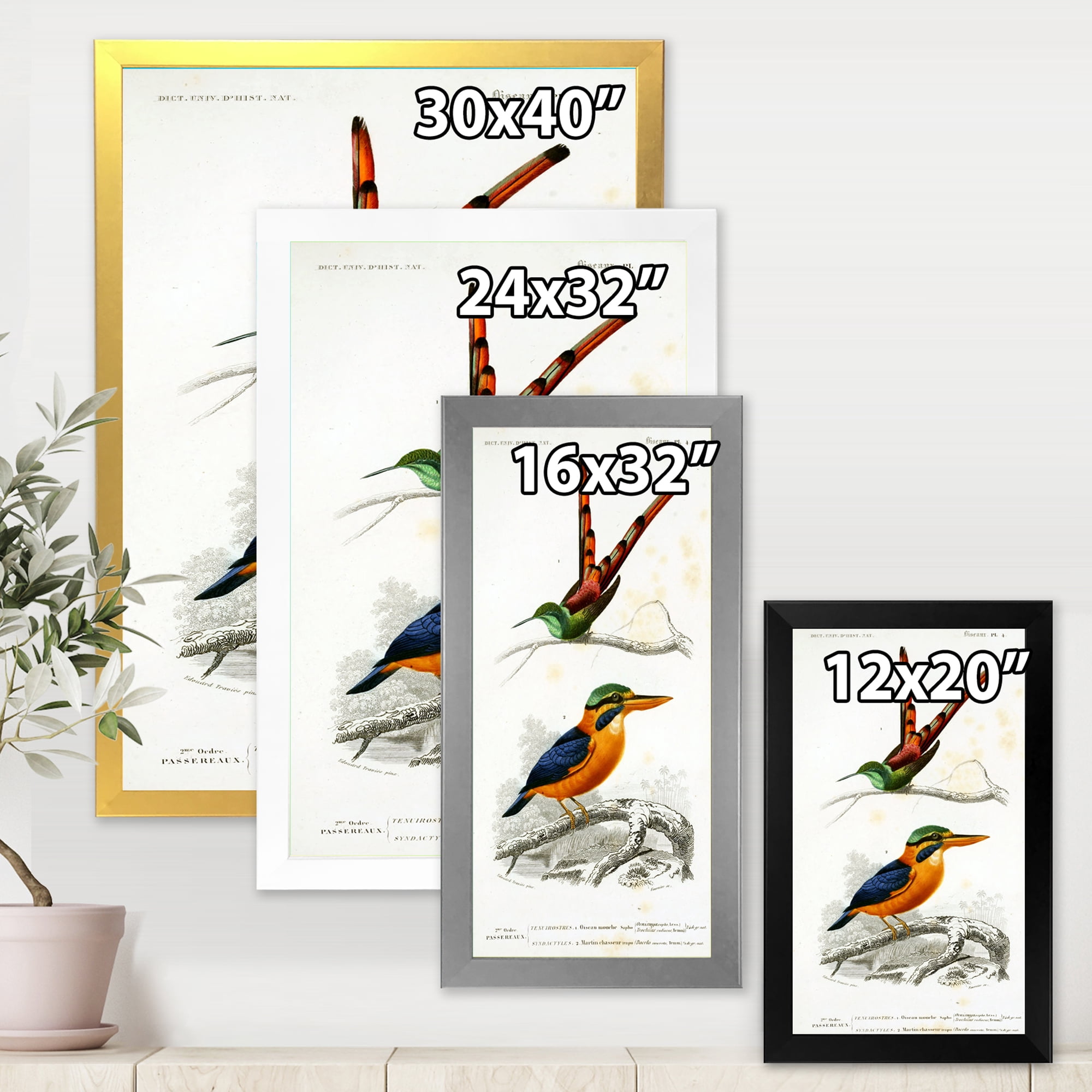 Designart 'Ancient Bird I' Traditional Framed Art Print