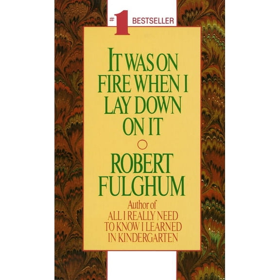 It Was On Fire When I Lay Down On It (Paperback)