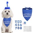 thumbnail image 4 of Party Banner Letter Set Fashion Sequins Cake Topper Set Birthday Banner for Dog, 4 of 10