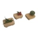 thumbnail image 1 of Set 3 mini tablas para picar limón, cebolla, jitomate, etc… mmymas Mini, 1 of 4