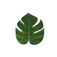 thumbnail image 4 of mmirethe 60Pcs Turtle Leaf Flower Decoration Set Hawaiian Party Table Decorations, 4 of 6