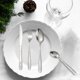 thumbnail image 3 of Juego de cubiertos de 4 piezas para bistec, , , pulido de espejo, vajil con diseño occidental, juego de regalo, utensilios de cocina para Pta Macarena Vajilla de cena, 3 of 7