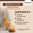thumbnail image 3 of Wellness CORE+ Adult Dry Cat Food, Natural, Wholesome Grains Kibble, Digestive Health Chicken and Rice Recipe, 5 lb Bag, 3 of 8